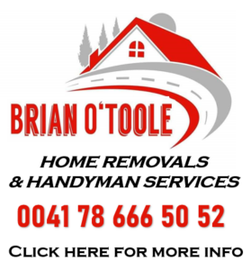 Fluent English and friendly service offfering Home Removals and Handyman Services in the Basel region.